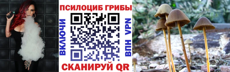 Псилоцибиновые грибы GOLDEN TEACHER  Кологрив 