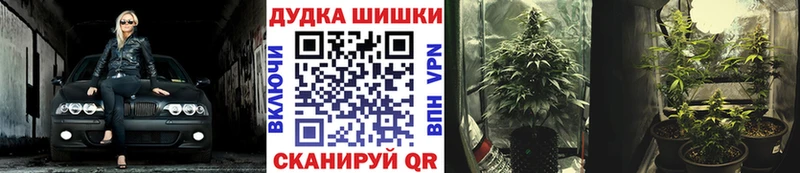 Каннабис ГИДРОПОН Кологрив